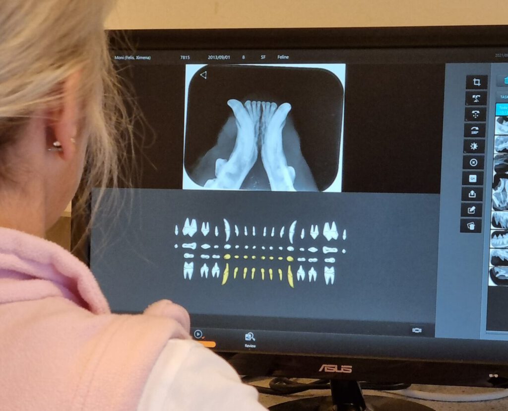 Frau vor Monitor mit Röntgenaufnahme