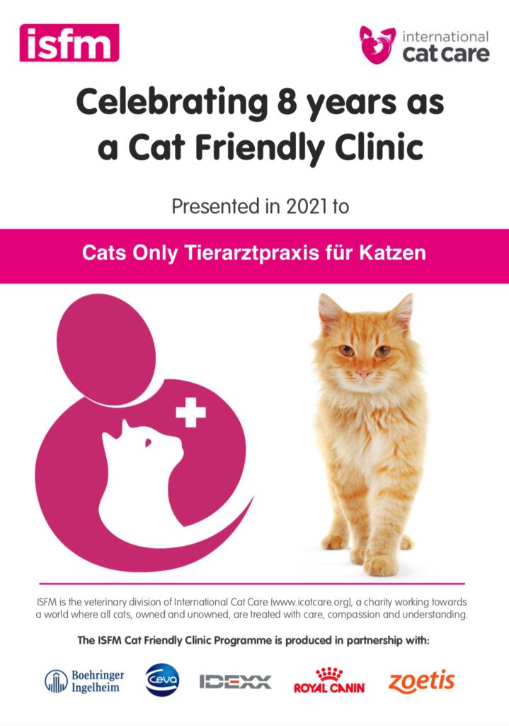 Celebrating 8 years cat friendly clinic