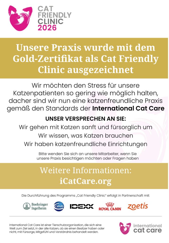 Cat-Friendly-Clinic-GOLD 2026 Zertifikat